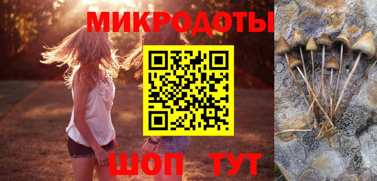 Псилоцибиновые грибы ЛСД Фрязино