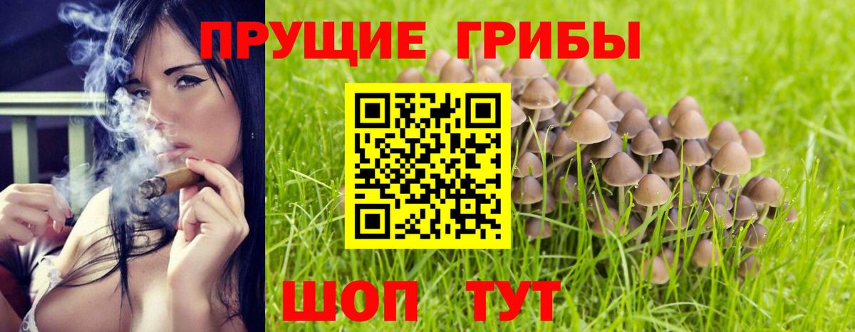 Фрязино  Галлюциногенные грибы мицелий  Вход с VPN 