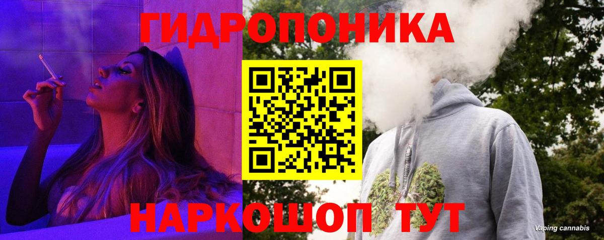 Конопля гибрид Фрязино
