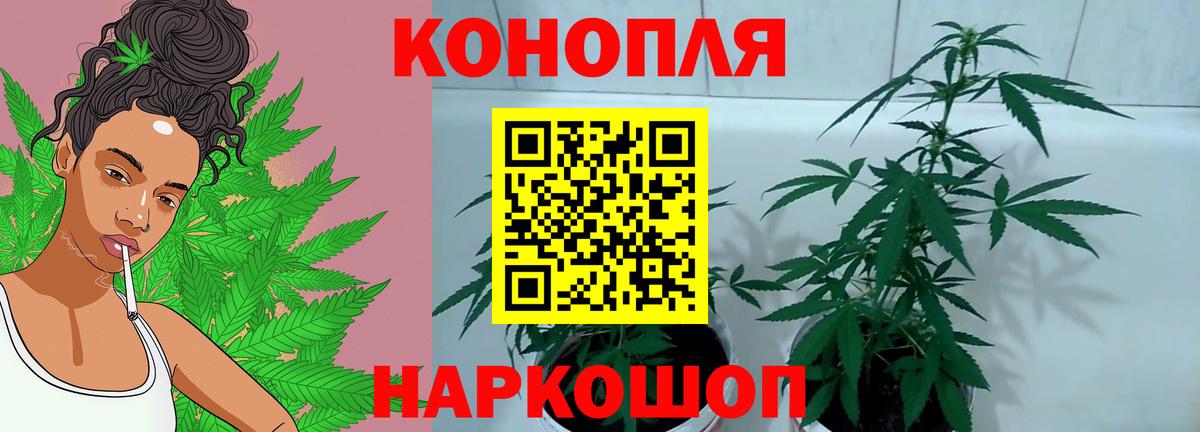 Бошки марихуана планчик  Каннабис LSD WEED  Вход с VPN  Конопля тримм  Фрязино  Канабис индика 